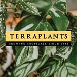 Terraplants