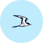 brittasbayclub