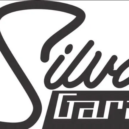 Silva 80