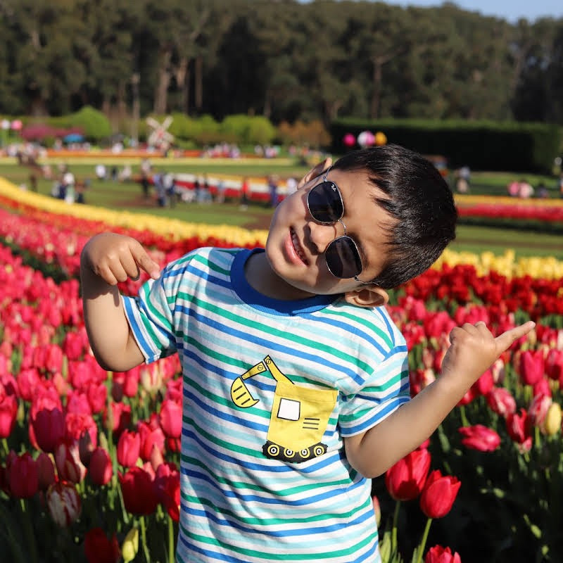 Noyan Sharifi 