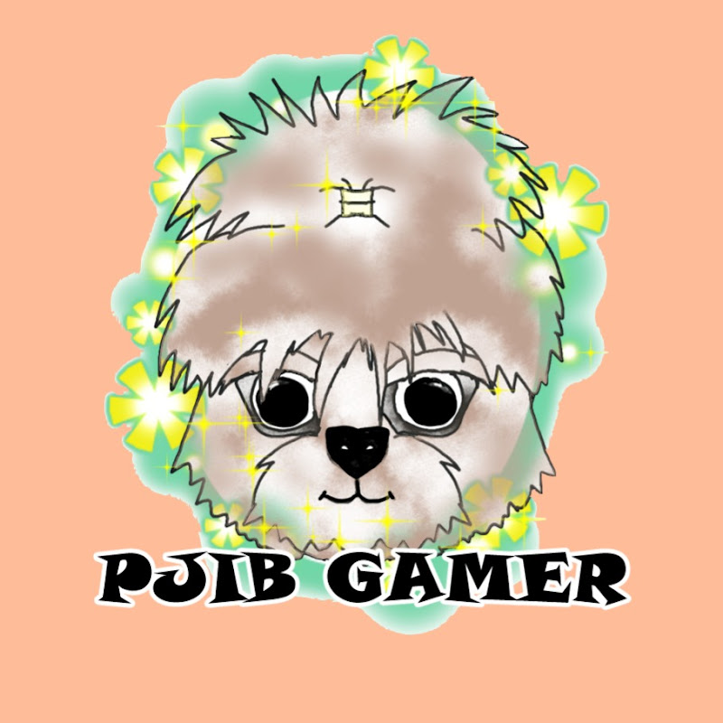 PJIB GAMER