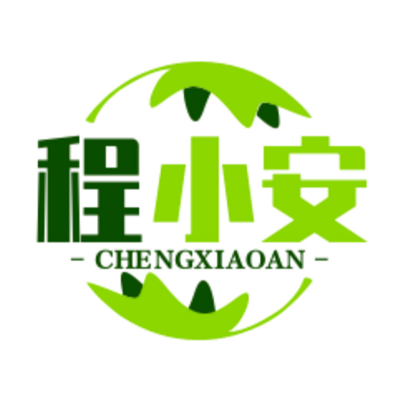 加油程小安