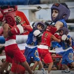 Rodrigo "El Terrible"👶🏼 🇻🇪🥊