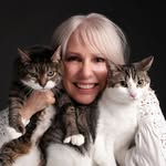 Poupée 🐱& Fleur 🐱• Wholesome Cats
