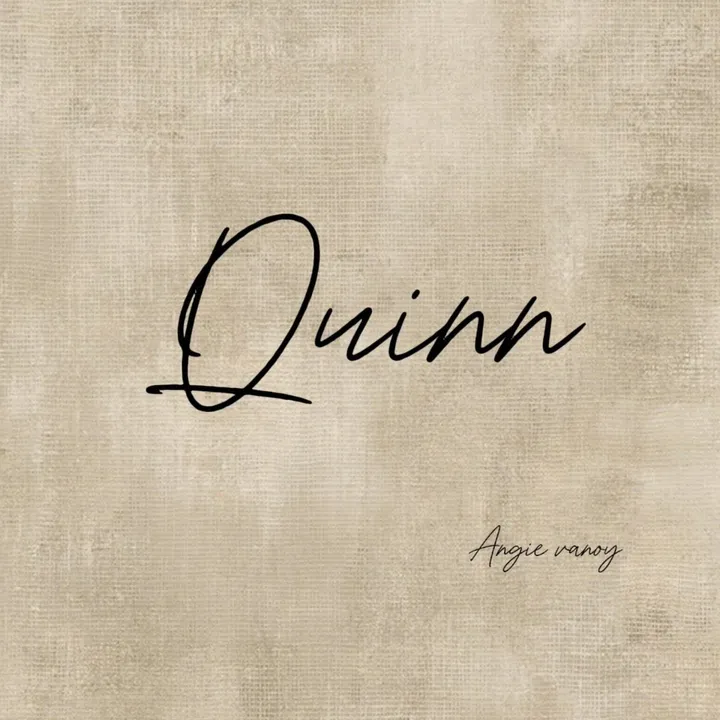 Quinn_conviction