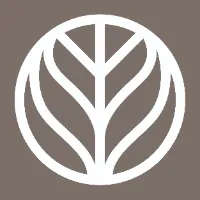 Branch Basics