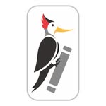 Woodpecker Books| Children’s Books