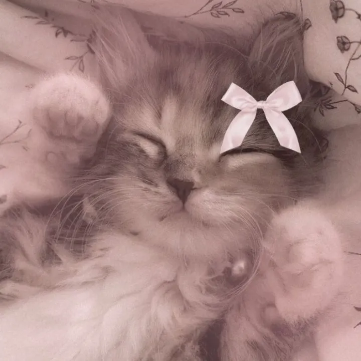 Fatima🛼💕