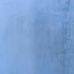 curator_artgallery