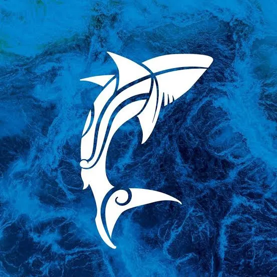Wettie Spearfishing