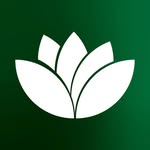 Auto Lotus