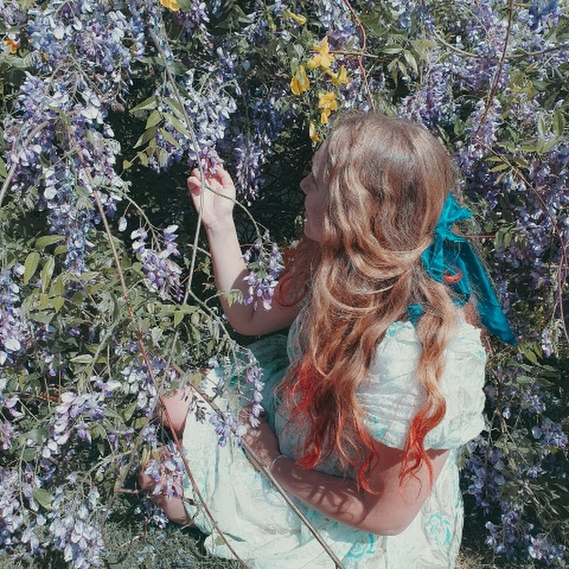 Amity Gilmour