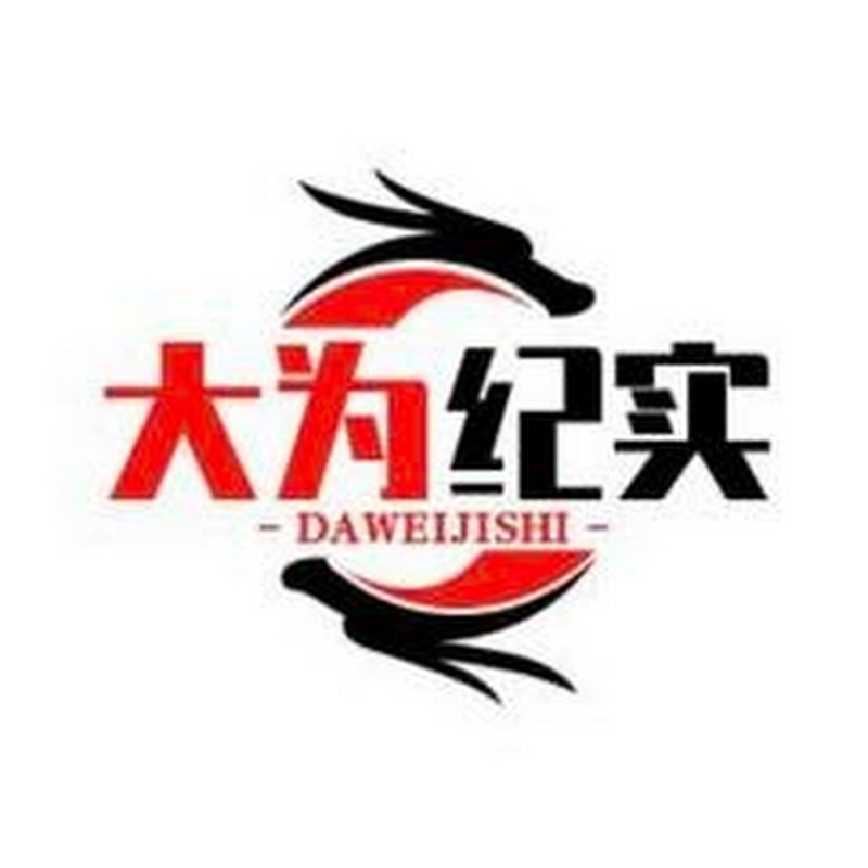 大为纪实录【官方频道】