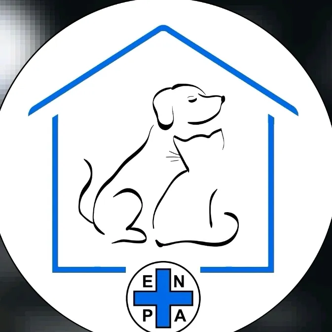 Rifugio_Enpa_Mira_Mestre