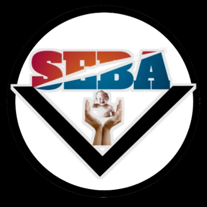 Seba v vlogs
