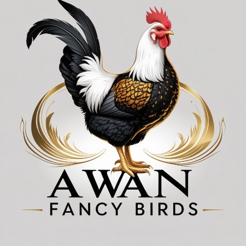 Awan Fancy Birds 
