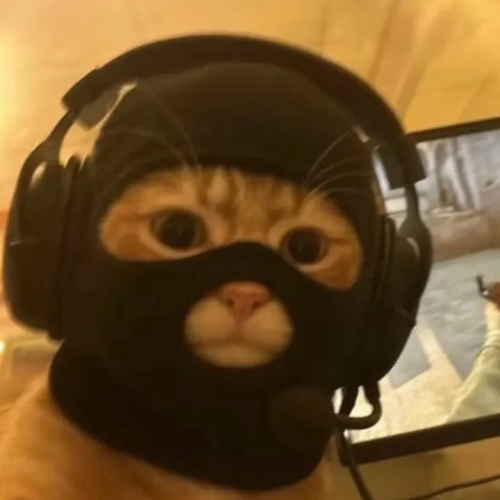Thecatwifmask