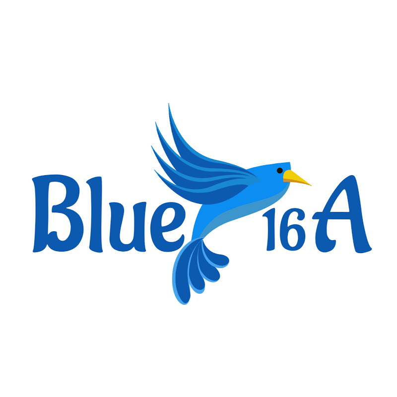 Blue Bird 16A
