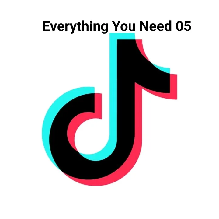 Everything You Need 05