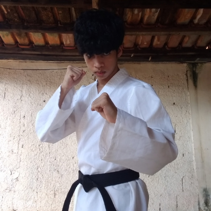 ninja taekwondo540