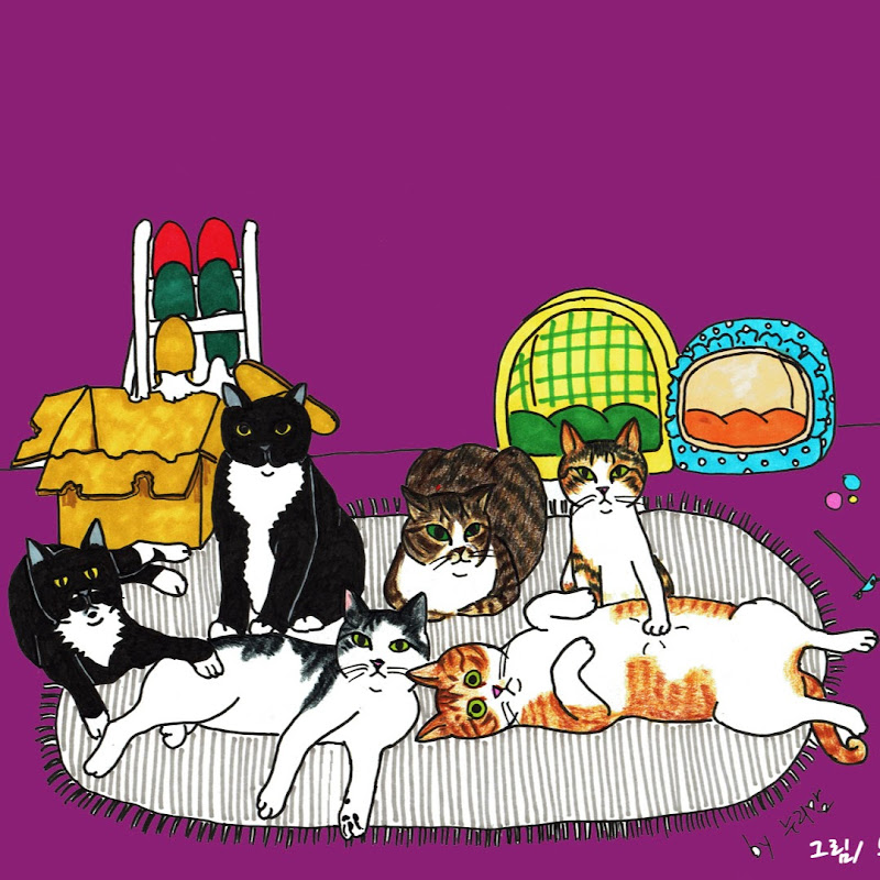 냥냥타운 meow meow town