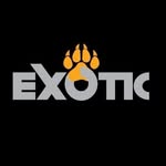 Exotic Active Lifestyle