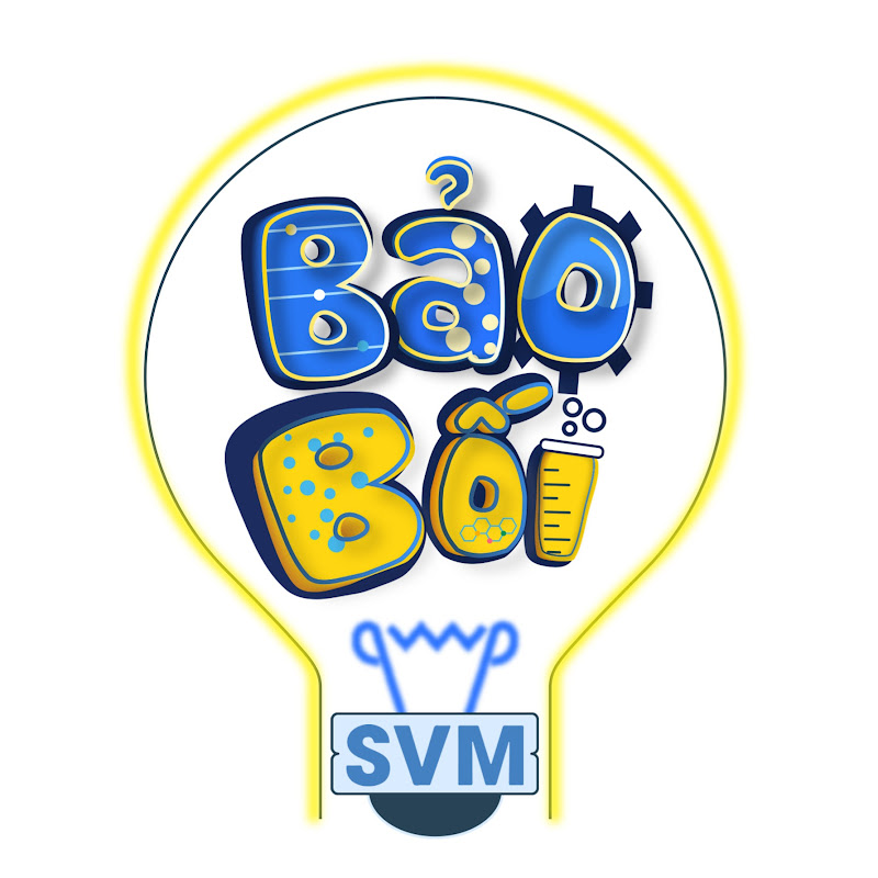 SVM Bao Boi