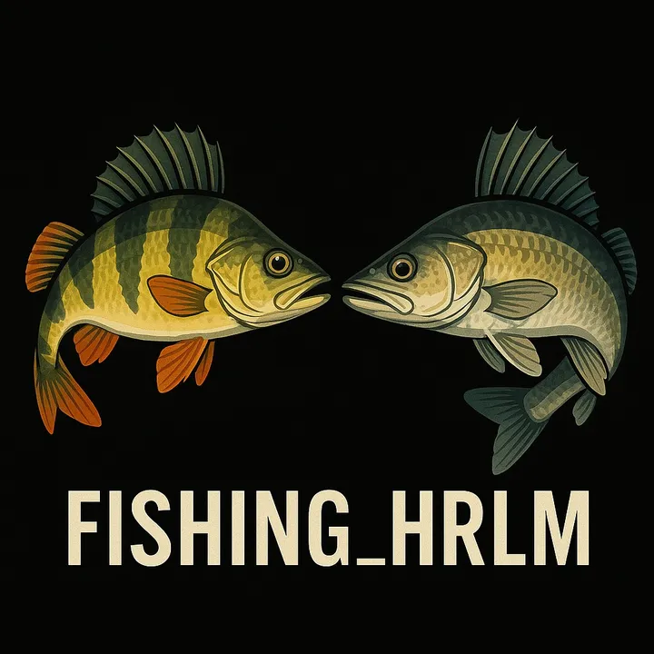 𝙁𝙞𝙨𝙝𝙞𝙣𝙜_𝙝𝙧𝙡𝙢