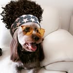Leo 🐾🦴🐶