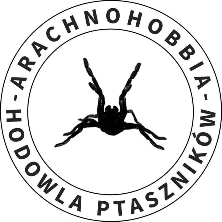 Arachnohobbia 🕷