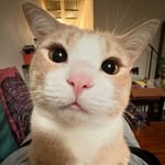 Leroy