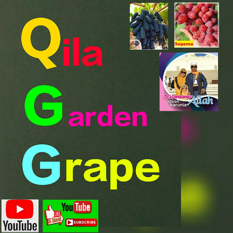Qila Garden Grape