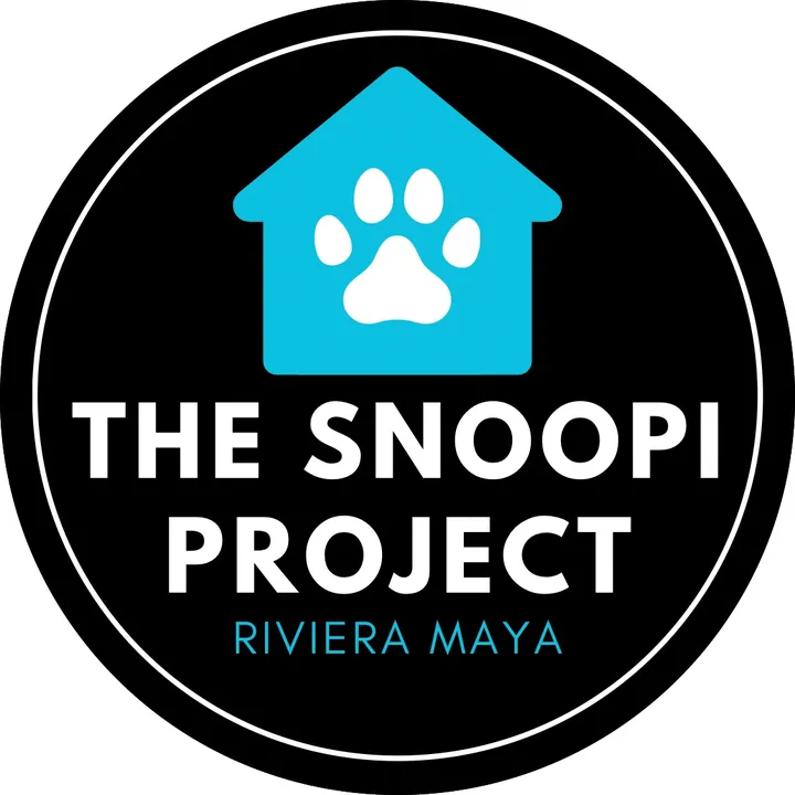 The Snoopi Project