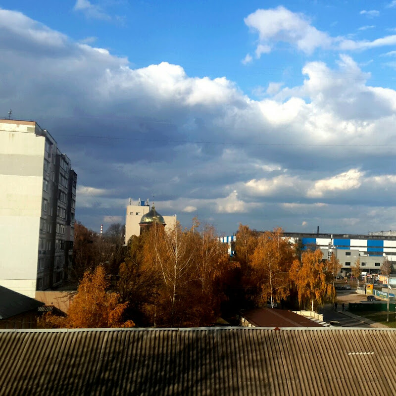 Babakova Village Forest  Life  hopefully  soon