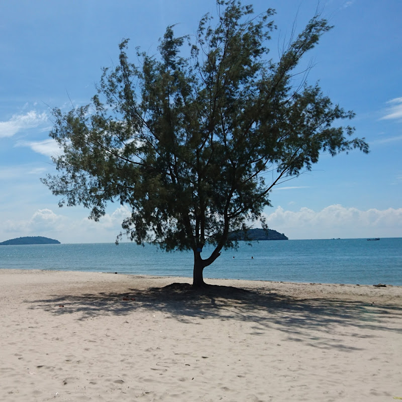 longua Travel & Music