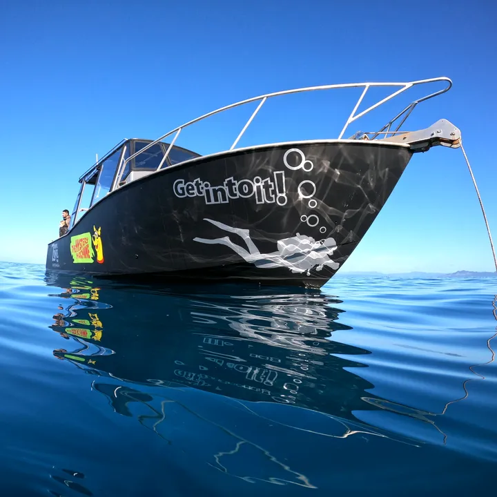 Dive_Zone_Whitianga