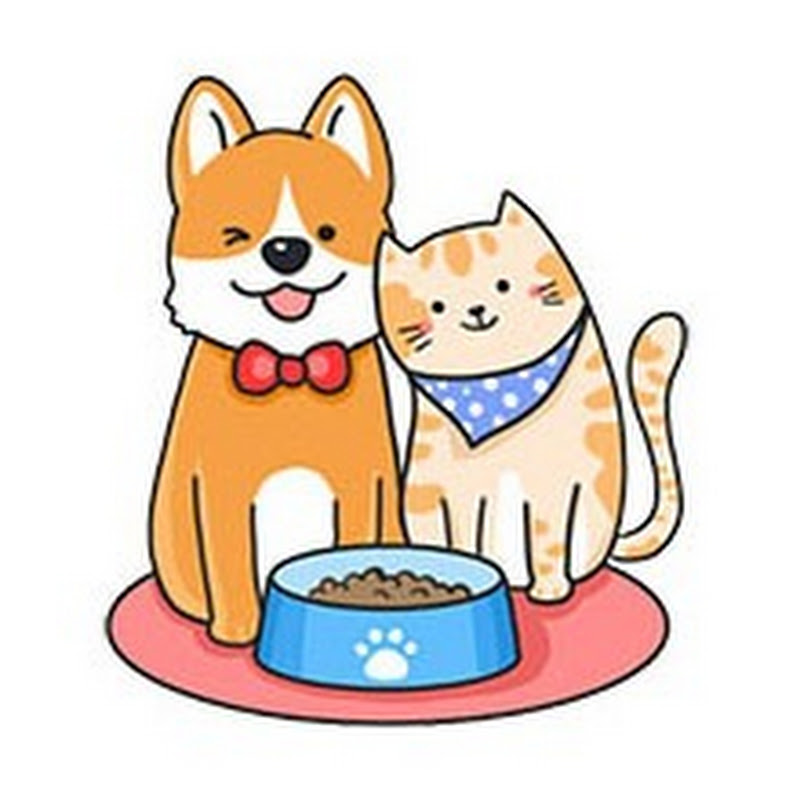 Mycutedogcat