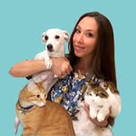 𝙙𝙤𝙩𝙩.𝙨𝙨𝙖 𝘾𝙤𝙨𝙩𝙖𝙣𝙯𝙖 𝙙𝙚 𝙑𝙞𝙧𝙜𝙞𝙡𝙞𝙞𝙨 | ɴᴜᴛʀɪᴢɪᴏɴɪsᴛᴀ ᴘᴇʀ ᴄᴀɴɪ ᴇ ɢᴀᴛᴛɪ