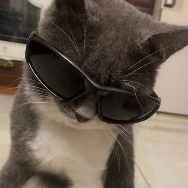 Itz toca Kitty😝💗