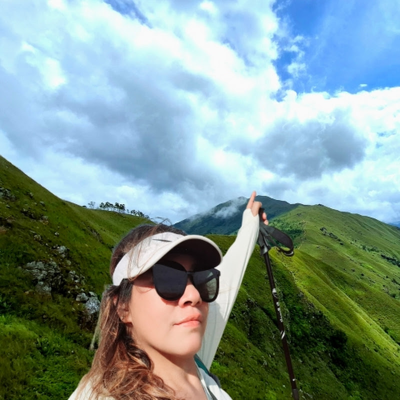 I wander  Explore Capture