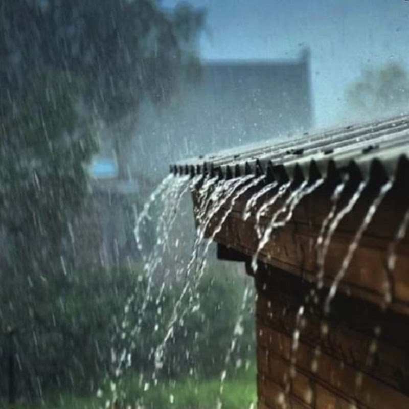 Chuyện Của Mưa Audio