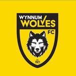 Wynnum Wolves FC