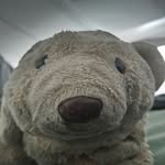 Peter