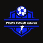 PROMO SOCCER ORGANIZATION