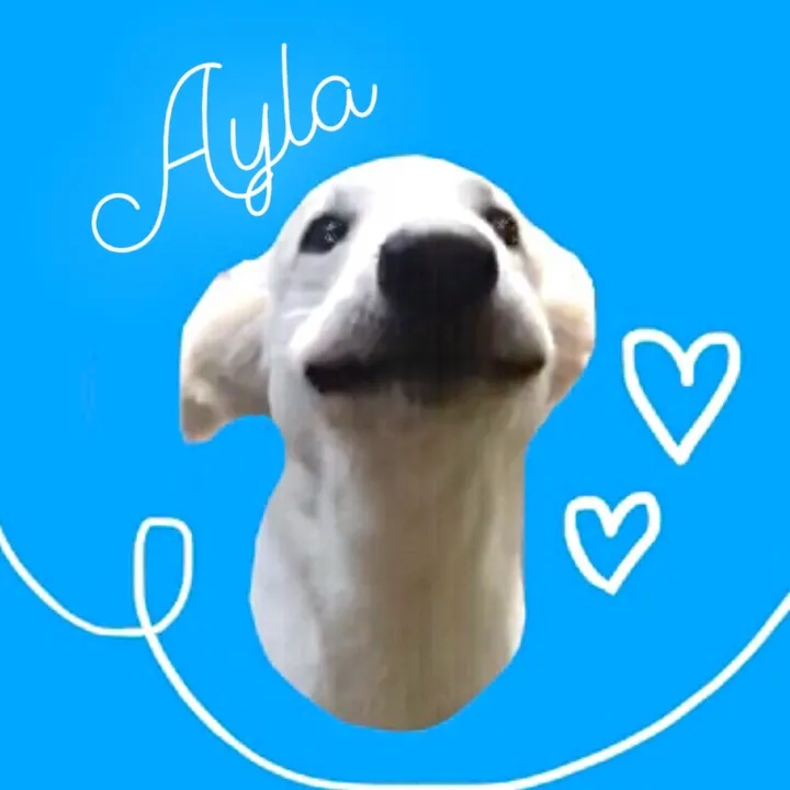 Ayla