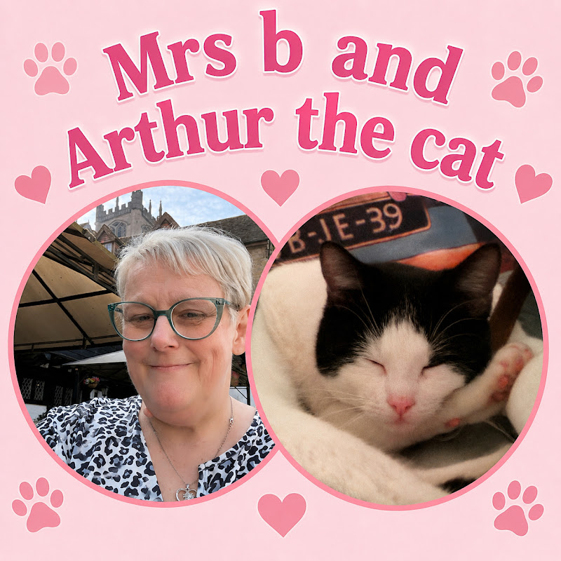 Mrs b and Arthur the cat 🐱 channel 