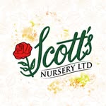 Scott's Nursery