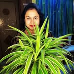 Dr. Titil Datta Samanta