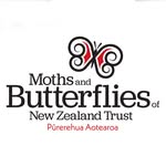 Moths & Butterflies Of New Zealand