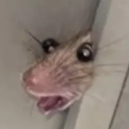 🫀